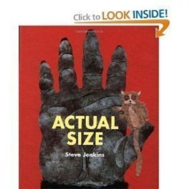 Actual Size (Hardcover)