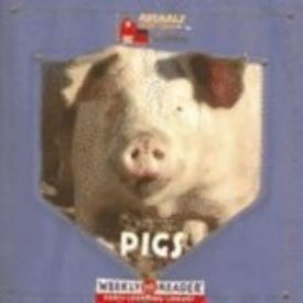 Pigs (Animals That Live on the Farm) (Paperback)