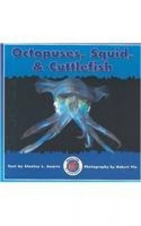 OCTOPUSES, SQUID & CUTTLEFISH (Dominie Marine Life Set 2)