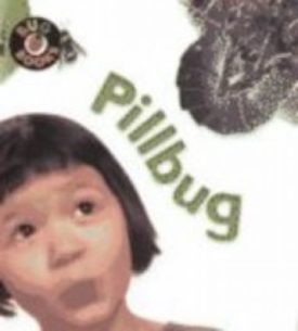 Pillbug (Bug Books) (Paperback)