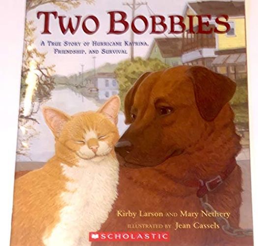 Two Bobbies: A True Story of Hurricane Katrina, Friendship, and Survival (Paperback)