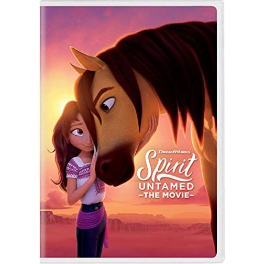 DVD Children's Movies 4 Pack Fun Gift Bundle: Spirit Untamed: The Movie, AMERICAN TAILMYSTERY OF, Cloudy with a Chance of Meatballs, Madly Madagascar