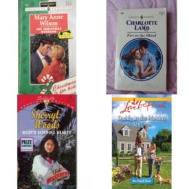 Assorted Novels Paperback Book Bundle (4 Pack): The Christmas Husband - Harlequin American Romance #609 Paperback, Fire In The Blood - Harlequin American Romance #1658 Paperback, Rileys Sleeping Beauty - That Special Women! - Sillouette Special Edition #961, Daddy in the Making Cote, Lyn