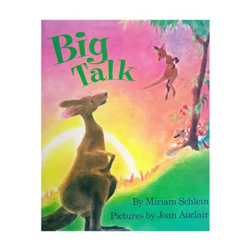 Big Talk (Paperback)