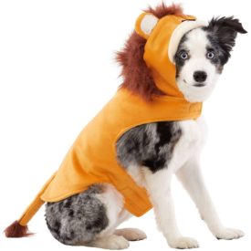 TOP PAW Dog Lion Coat and Costume Size Large
