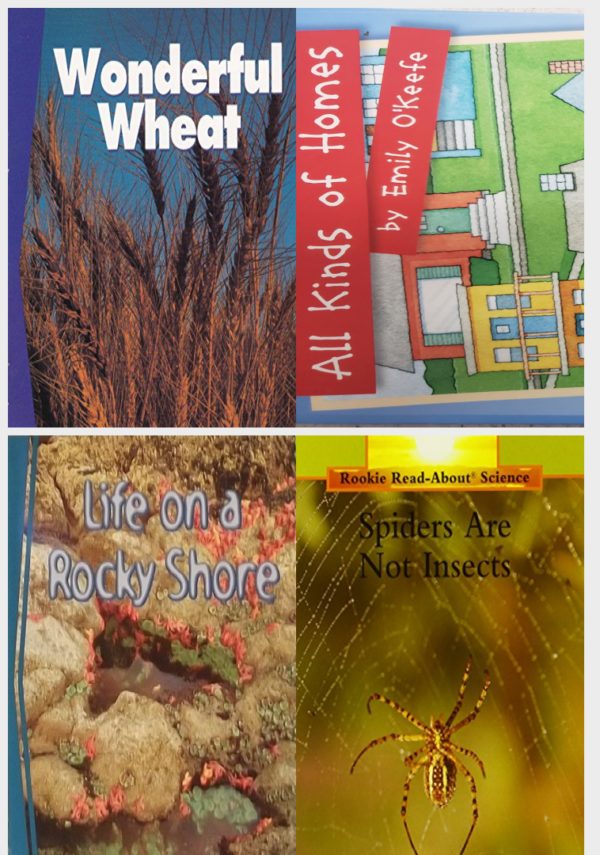 Children's Fun & Educational 4 Pack Paperback Book Bundle (Ages 3-5): Wonderful Wheat Newbridge Discovery Links, READING 2007 INDEPENDENT LEVELED READER GRADE K UNIT 6 LESSON 1 ADVANCED, Life on a Rocky Shore Guided Reading Newbridge Discovery Links Grade 4, Spiders Are Not Insects Rookie Read-About Science