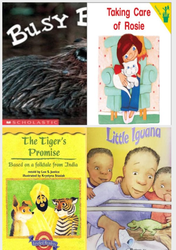 Children's Fun & Educational 4 Pack Paperback Book Bundle (Ages 3-5): Busy Beavers Emergent Readers, Early Reader: Taking Care of Rosie, The Tigers Promise Houghton Mifflin Leveled Readers, Book 3FOG, READING 2007 LISTEN TO ME READER GRADE K UNIT 2 LESSON 5 BELOW LEVEL: LITTLE IGUANA