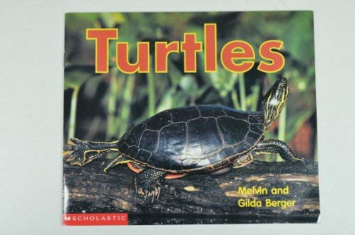 Children's Fun & Educational 4 Pack Paperback Book Bundle (Ages 3-5): Reading 2007 Independent Leveled Reader Grade K Unit 4 Lesson 1 Advanced Scott Foresman Reading Street, Timmy The Turtles Sore Toe, Reading 2007 Kindergarten Student Reader Grade K Unit 5 Lesson 2 on Level On The High Seas, Turtles Scholastic Time-to-Discover Readers
