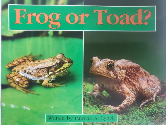 Children's Fun & Educational 4 Pack Paperback Book Bundle (Ages 3-5): READY READERS, STAGE 4, BOOK 15, FROG AND TOAD, Bones Discovering My World, Reading 2007 Kindergarten Student Reader Grade K Unit 6 Lesson 6 on Level Animals At Home, Squirrels Scholastic Time-to-Discover Readers