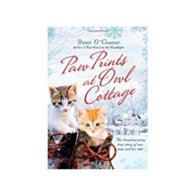 Paw Prints at Owl Cottage: The Heartwarming True Story of One Man and His Cats (Hardcover)