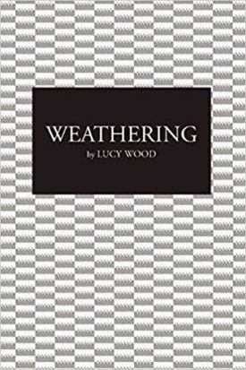 Weathering: A Novel (Paperback)
