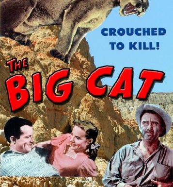 The Big Cat