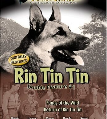 The Return of Rin Tin Tin