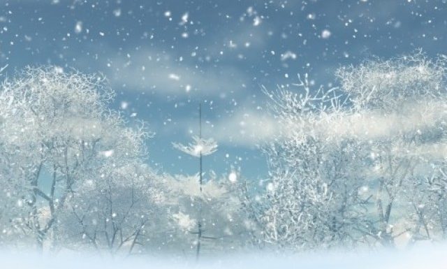 Christmas OfferingsChristmas Offerings