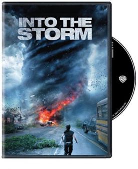 Into The Storm (DVD)