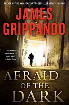 Afraid of the Dark (Jack Swyteck Novel) (Hardcover)