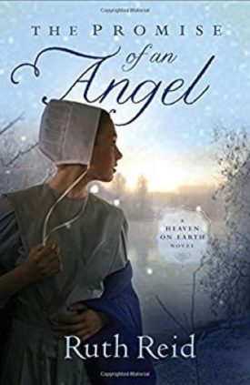 The Promise of an Angel (Heaven on Earth) (Paperback)