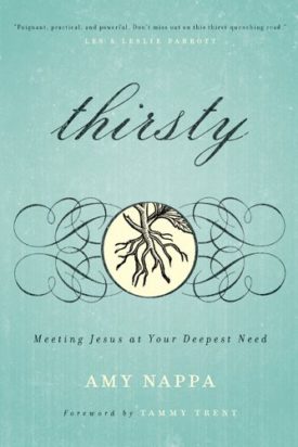 Thirsty: Meeting Jesus at Your Deepest Need (Paperback)