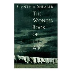 The Wonder Book of Air: A novel (Hardcover)