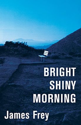 Bright Shiny Morning  (Hardcover)