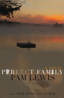 Perfect Family: A Novel (Hardcover)