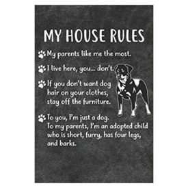 My House Rules Notebook Journal: 110 Blank Lined Papers - 6x9 Personalized Customized Notebook Journal Gift For Rottweiler Puppy Dog Owners and Lovers (Paperback)