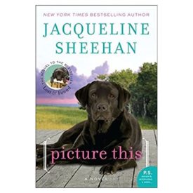 Picture This: A Novel (Paperback)