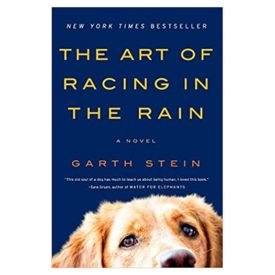 The Art of Racing in the Rain: A Novel (Paperback)