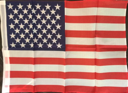 National Veterans Foundation Lifeline For Vets American USA Flag 28" x 72"