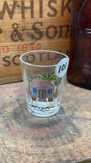 Collectible Shot Glass - Naples, Florida