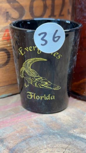 Collectible Shot Glass - Everglades, Florida