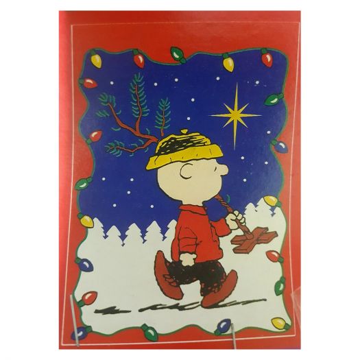Peanuts Charlie Browns Christmas Decorative House Flag Indoor/Outdoor  28 x 40