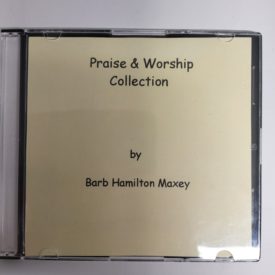 Praise & Worship Collection (Music) (Audio CD)