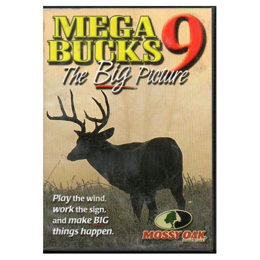 Mega Bucks 9: The Big Picture (DVD)