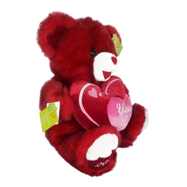 2010 Dan Dee Valentine's Day Sweetheart Teddy "You & Me" Red Teddy Bear Plush 20"