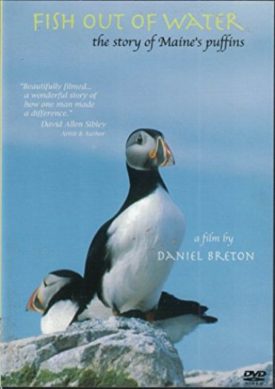 Fish Out of Water : The Story of Maine's Puffins (DVD)
