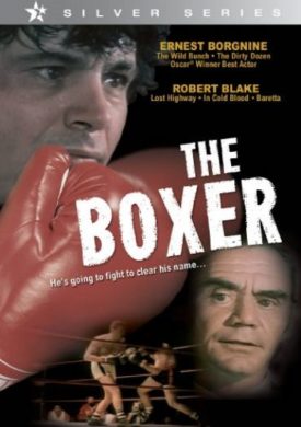 Boxer (DVD)