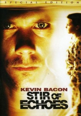 Stir of Echoes (Special Edition) (DVD)