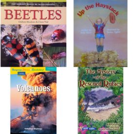 Children's Fun & Educational 4 Pack Paperback Book Bundle (Ages 6-12): BEETLES Dominie World of Invertebrates, Up the Haystack, Language, Literacy & Vocabulary - Reading Expeditions Earth Science: Volcanoes Language, Literacy, and Vocabulary - Reading Expeditions, Book Treks Extension the Mystery of the Rescued Rubies Gr 5 2005c