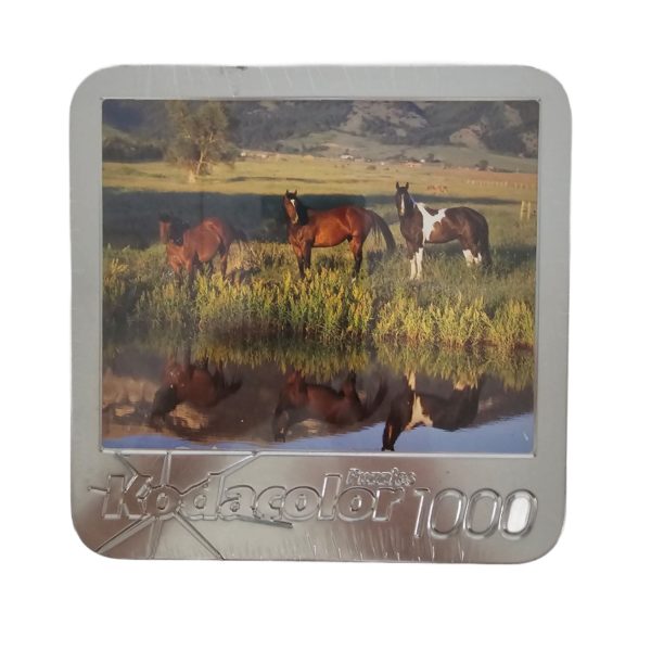 Kodacolor Horses In Pasture On River Bank 1000 Piece Jigsaw Puzzle In Tin