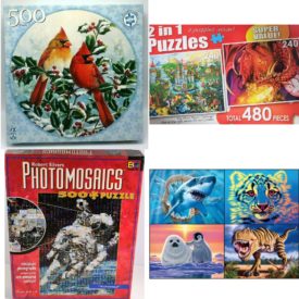 Assorted Puzzles 4 Pack Bundle: 1996 F.X. Schmid Winters Splendor Cardinals 500 Piece ROUND Jigsaw Puzzle, 2 Puzzles Magic Kingdom and Red Dragons Lair 240 Piece Puzzles, Photomosaics Astronaut 500 Piece Jigsaw Puzzle, Ceaco Kids 4-in-1 Glow Zone Jigsaw Puzzle