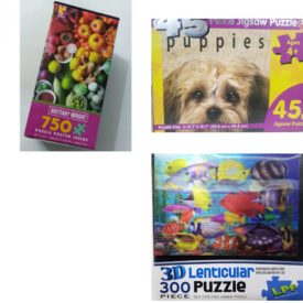 Assorted Puzzles 4 Pack Bundle: Brittany Wright FRUITS AND SPICES 750 Piece Puzzle with Poster 21 x 21, Puppies, 45 Piece Jigsaw Puzzle by Clever Prints, National Geographic Matira Beach, Bora Bora, French Polynesia 1000 Piece Puzzle, LPF 3D Lenticular Puzzle Colorful Reef Fish 300 Piece