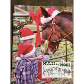 Mules and More - Dec. 2013 Vol. 24 Issue 2 (Back Issue Magazine)