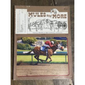 Mules and More - Jun. 2007 Vol. 17 Issue 8 (Back Issue Magazine)