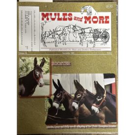 Mules and More - Nov. 2007 Vol. 18 Issue 1 (Back Issue Magazine)