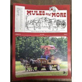 Mules and More - Jul. 2004 Vol. 14 Issue 9 (Back Issue Magazine)