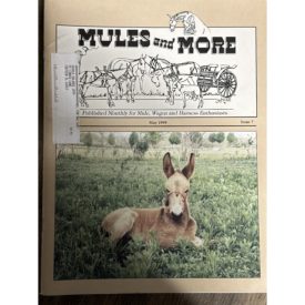 Mules and More - May 1999 Vol. 9 Issue 7 (Back Issue Magazine)