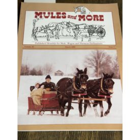 Mules and More - Mar. 2000 Vol. 10 Issue 5 (Back Issue Magazine)
