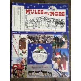 Mules and More - Dec. 2007 Vol. 18 Issue 2 (Back Issue Magazine)