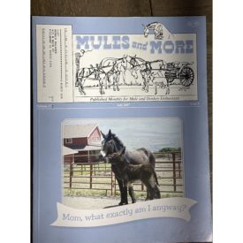 Mules and More - Jul. 2007 Vol. 17 Issue 9 (Back Issue Magazine)